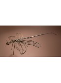 Wrought iron sculpture - Libellula