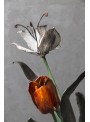 Bunch of four wrought iron tulips