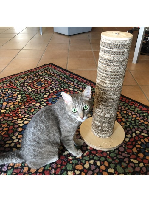 Scratching post in birch wood and cardboard - Minou