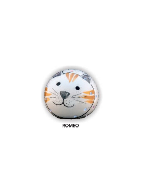 Light source in ceramic - Romeo