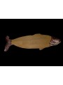 Tagliere pesce rosso